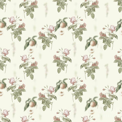 1-war Is Hell Royalty Free Images - Vintage Pink Boursault Rose Boho Botanical Pattern on Soft Warm White n.0735 Royalty-Free Image by Holy Rock Design