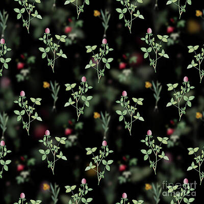 Roses Mixed Media - Vintage Pink Clover Floral Garden Pattern on Black n.1495 by Holy Rock Design