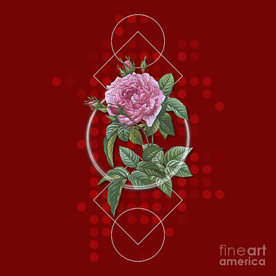 Florals Mixed Media - Vintage Pink French Rose Botanical with Geometric Motif n.0539 by Holy Rock Design