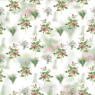 Florals Mixed Media - Vintage Pink Rosebush Bloom Floral Garden Pattern on White n.0172 by Holy Rock Design