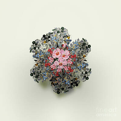 Floral Paintings - Vintage Pink Ruddy Godetia Floral Wreath on Ivory White n.0171 by Holy Rock Design