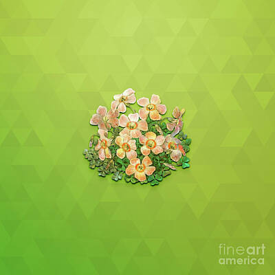 Animals Mixed Media - Vintage Piottas Oxalis Flower Botanical Art on Love Bird Green n.0402 by Holy Rock Design