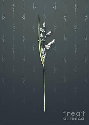 Reptiles Mixed Media Rights Managed Images - Vintage Powdery Alligator Flag Botanical Art on Slate Gray Pattern n.0820 Royalty-Free Image by Holy Rock Design
