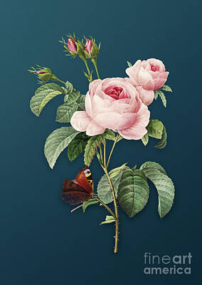 Shaken Or Stirred - Vintage Provence Rose Botanical Art on Teal Blue n.0335 by Holy Rock Design