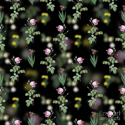 Florals Mixed Media - Vintage Provence Rose Floral Garden Pattern on Black n.0199 by Holy Rock Design