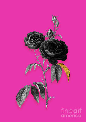 Roses Mixed Media - Vintage Purple Roses Black and White Gilded Floral Art on Hot Pink n.0091 by Holy Rock Design