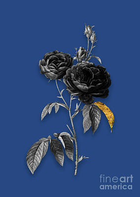 Roses Mixed Media - Vintage Purple Roses Black and White Gilded Floral Art on Midnight Blue by Holy Rock Design
