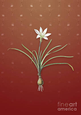 Lilies Mixed Media - Vintage Rain Lily Botanical Art on Falu Red Pattern n.4424 by Holy Rock Design