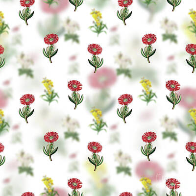 Florals Mixed Media - Vintage Red Edged Fig Marigold Floral Garden Pattern on White n.0178 by Holy Rock Design