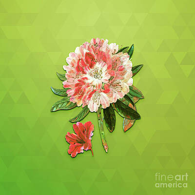 Animals Mixed Media - Vintage Rhododendron Flower Botanical Art on Love Bird Green n.1220 by Holy Rock Design