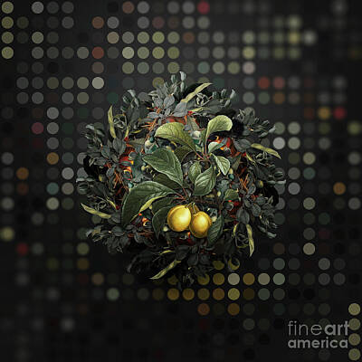 Florals Royalty Free Images - Vintage Ripe Plums on Branch Fruit Wreath on Bokeh Dot Pattern n.0090 Royalty-Free Image by Holy Rock Design