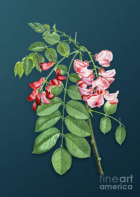 Roses Paintings - Vintage Robinier Rose Bloom Botanical Art on Teal Blue n.1024 by Holy Rock Design