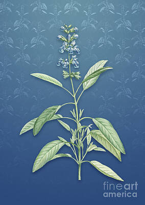 Fruits And Vegetables Still Life - Vintage Sage Plant Botanical Art on Bahama Blue Pattern n.3563 by Holy Rock Design