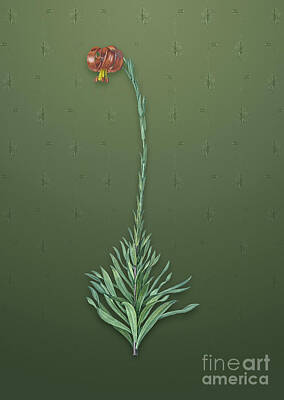 Lilies Mixed Media - Vintage Scarlet Martagon Lily Botanical Art on Lunar Green Pattern n.2608 by Holy Rock Design