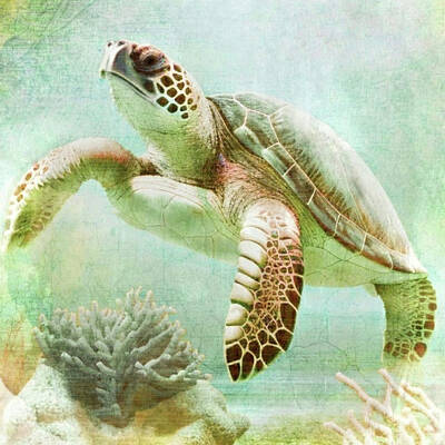 Reptiles Mixed Media - Vintage Sea Turtle Swimming Underwater  by Antonia Surich