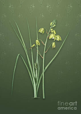 Lilies Mixed Media - Vintage Slime Lily Botanical Art on Lunar Green Pattern n.3505 by Holy Rock Design