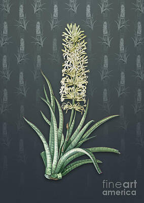 Reptiles Mixed Media - Vintage Snake Plant Botanical Art on Slate Gray Pattern n.4814 by Holy Rock Design