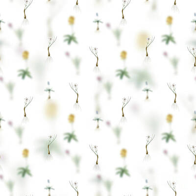 Lilies Mixed Media - Vintage Snowdon Lily Floral Garden Pattern on White n.0404 by Holy Rock Design