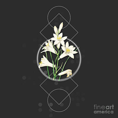 Lilies Mixed Media - Vintage St. Brunos Lily Botanical with Geometric Motif n.0446 by Holy Rock Design