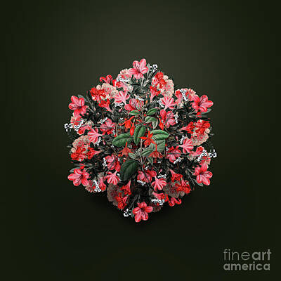 Floral Paintings - Vintage Standishs Fuchsia Flower Branch Floral Wreath on Olive Green n.0083 by Holy Rock Design