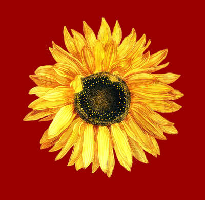 Sunflowers Digital Art - Vintage Style Sunflower Illustration by Gaby Ethington