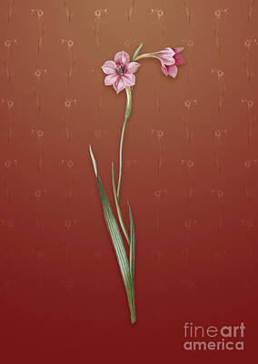 Lilies Mixed Media - Vintage Sword Lily Botanical Art on Falu Red Pattern n.4368 by Holy Rock Design
