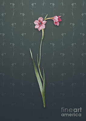 Lilies Mixed Media - Vintage Sword Lily Botanical Art on Slate Gray Pattern n.4098 by Holy Rock Design