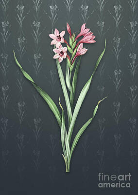 Lilies Mixed Media - Vintage Sword Lily Botanical Art on Slate Gray Pattern n.4449 by Holy Rock Design