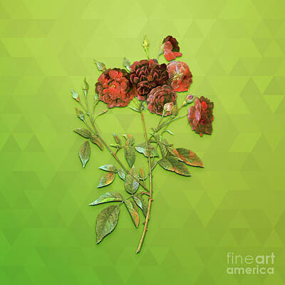Animals Mixed Media - Vintage Ternaux Rose Bloom Botanical Art on Love Bird Green n.0445 by Holy Rock Design