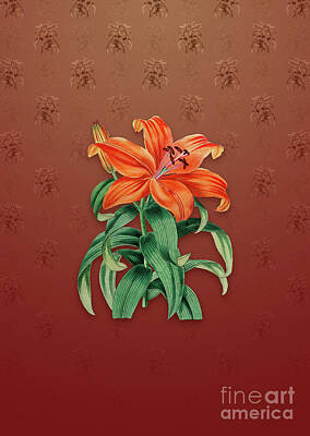 Lilies Mixed Media - Vintage Thunbergs Orange Lily Botanical Art on Falu Red Pattern n.5173 by Holy Rock Design