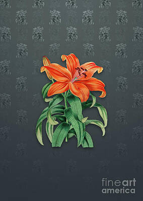 Lilies Mixed Media - Vintage Thunbergs Orange Lily Botanical Art on Slate Gray Pattern n.4632 by Holy Rock Design