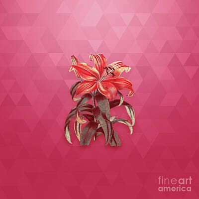 Lilies Mixed Media - Vintage Thunbergs Orange Lily in Gold on Viva Magenta by Holy Rock Design