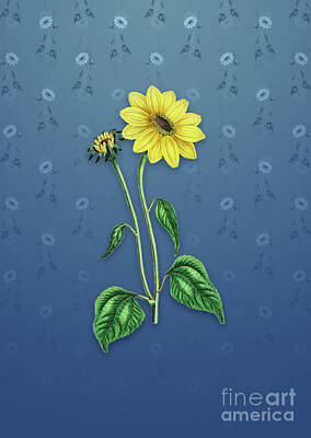 Sunflowers Mixed Media - Vintage Trumpet Stalked Sunflower Botanical Art on Bahama Blue Pattern n.2644 by Holy Rock Design