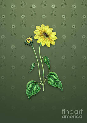Sunflowers Mixed Media - Vintage Trumpet Stalked Sunflower Botanical Art on Lunar Green Pattern n.4375 by Holy Rock Design