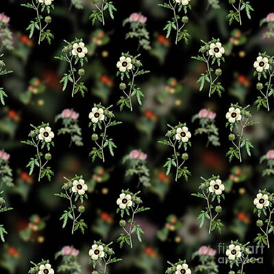 Roses Mixed Media Royalty Free Images - Vintage Venice Mallow Floral Garden Pattern on Black n.0389 Royalty-Free Image by Holy Rock Design