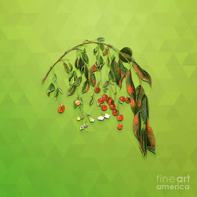 Animals Mixed Media - Vintage Visciola Cherries Botanical Art on Love Bird Green n.0926 by Holy Rock Design