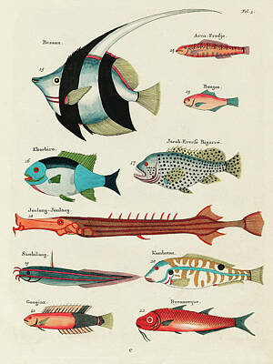 Recently Sold - Surrealism Digital Art - Vintage, Whimsical Fish and Marine Life Illustration by Louis Renard - Bezaan, Ekorbiro, Joulong by Louis Renard