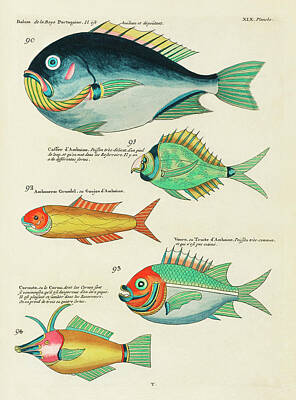 Surrealism Digital Art - Vintage, Whimsical Fish and Marine Life Illustration by Louis Renard - Bolam, Caffer dAmboine by Louis Renard