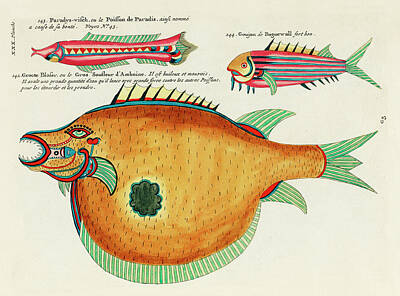 Surrealism Digital Art - Vintage, Whimsical Fish and Marine Life Illustration by Louis Renard - Groote Blaser, Paradys Visch by Louis Renard