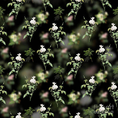 Florals Mixed Media - Vintage White Bengal Rose Floral Garden Pattern on Black n.0195 by Holy Rock Design