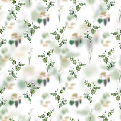 Florals Mixed Media - Vintage White Pea Floral Garden Pattern on White n.0214 by Holy Rock Design