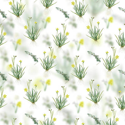 Florals Mixed Media - Vintage Yellow Eyed Grass Floral Garden Pattern on White n.0196 by Holy Rock Design