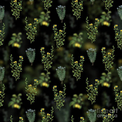 Florals Mixed Media - Vintage Yellow Jasmine Floral Garden Pattern on Black n.0219 by Holy Rock Design