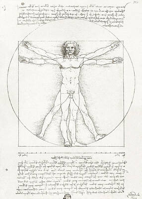 Drawings Royalty Free Images - Vitruvian by Leonardo Da Vinci Royalty-Free Image by Mango Art