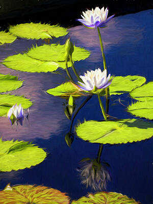 Lilies Digital Art - Water Lilies With Reflection Painting by Judy Vincent