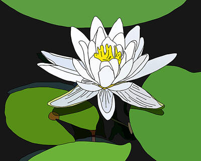 Lilies Digital Art - Water Lily by Grace Joy Carpenter