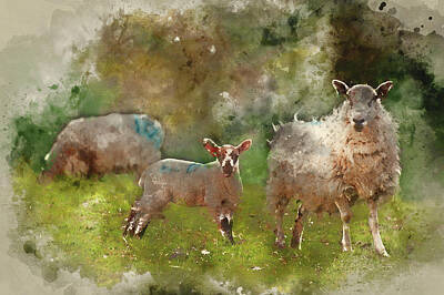 Road Trip - Watercolor painting of Spring lamb and ewe mother in Spring rural farm landscape by Matthew Gibson