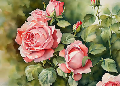Florals Digital Art - Watercolor Rose by Greg Joens