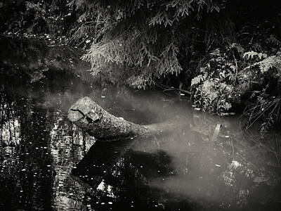 Ring Of Fire Rights Managed Images - Waters from the Forest and Fields mixing bw Royalty-Free Image by Jouko Lehto