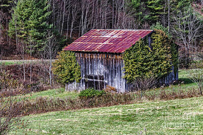 Target Threshold Photography - Weathered Barn with Bright Red Roof by Sue Smith